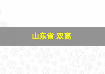 山东省 双高